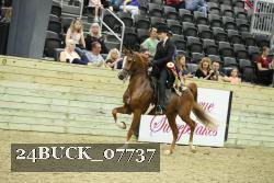 24BUCK_07737 thumbnail