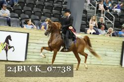 24BUCK_07738 thumbnail