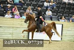 24BUCK_07739 thumbnail