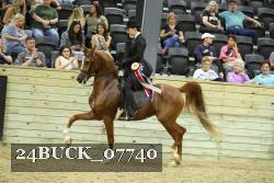 24BUCK_07740 thumbnail