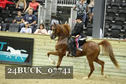 24BUCK_07741 thumbnail