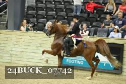 24BUCK_07742 thumbnail