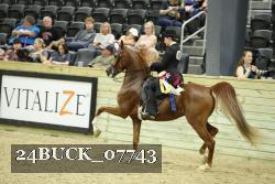 24BUCK_07743 thumbnail