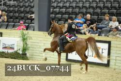 24BUCK_07744 thumbnail