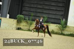 24BUCK_07746 thumbnail