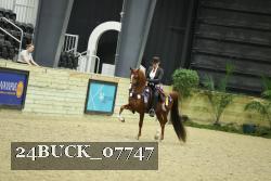 24BUCK_07747 thumbnail