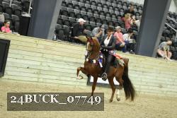 24BUCK_07749 thumbnail