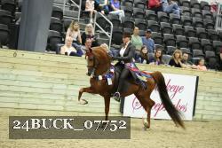 24BUCK_07752 thumbnail