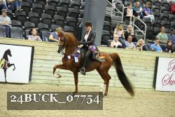 24BUCK_07754 thumbnail