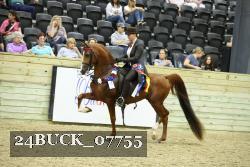 24BUCK_07755 thumbnail