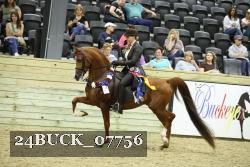 24BUCK_07756 thumbnail
