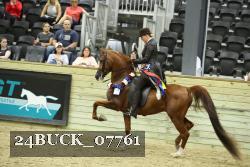 24BUCK_07761 thumbnail