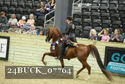 24BUCK_07764 thumbnail