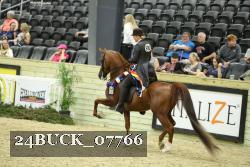 24BUCK_07766 thumbnail