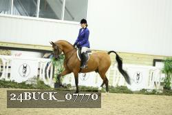24BUCK_07770 thumbnail
