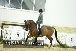 24BUCK_07773 thumbnail