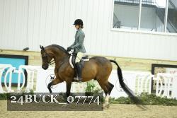 24BUCK_07774 thumbnail
