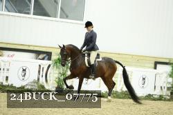 24BUCK_07775 thumbnail