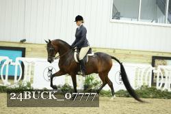 24BUCK_07777 thumbnail