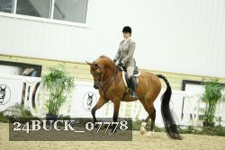 24BUCK_07778 thumbnail