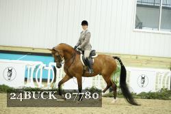 24BUCK_07780 thumbnail