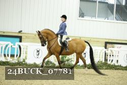 24BUCK_07781 thumbnail