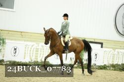 24BUCK_07783 thumbnail
