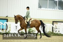 24BUCK_07785 thumbnail