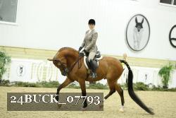 24BUCK_07793 thumbnail