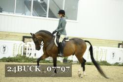 24BUCK_07797 thumbnail