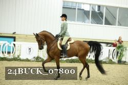 24BUCK_07800 thumbnail