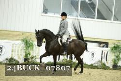 24BUCK_07807 thumbnail