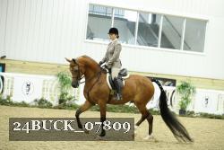24BUCK_07809 thumbnail