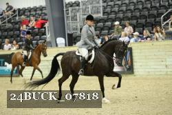 24BUCK_07818 thumbnail