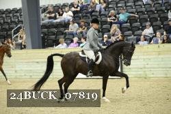 24BUCK_07819 thumbnail