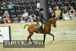 24BUCK_07821 thumbnail