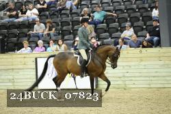 24BUCK_07823 thumbnail