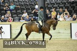 24BUCK_07824 thumbnail