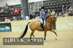 24BUCK_07826 thumbnail
