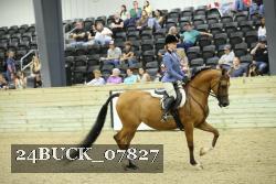 24BUCK_07827 thumbnail