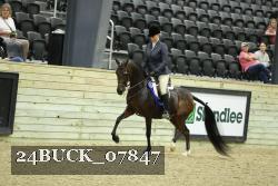 24BUCK_07847 thumbnail