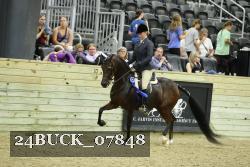 24BUCK_07848 thumbnail