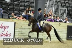 24BUCK_07849 thumbnail