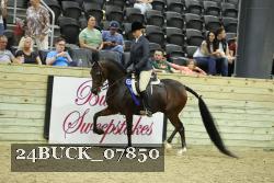 24BUCK_07850 thumbnail