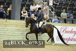 24BUCK_07851 thumbnail