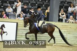 24BUCK_07852 thumbnail