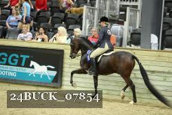 24BUCK_07854 thumbnail