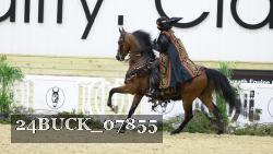 24BUCK_07855 thumbnail