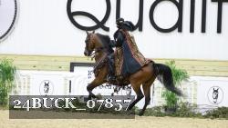 24BUCK_07857 thumbnail