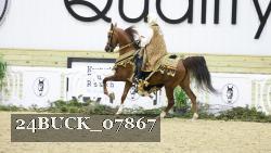 24BUCK_07867 thumbnail